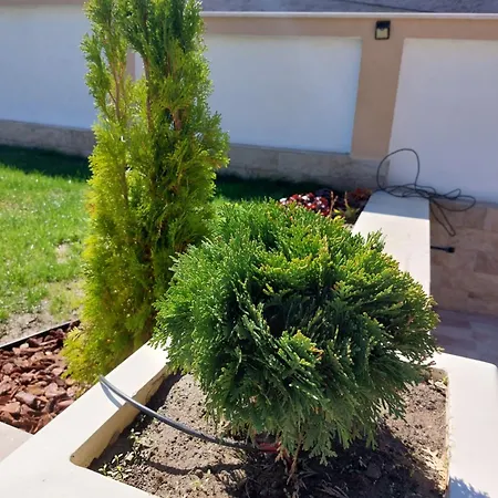 Affittacamere Stella 3*