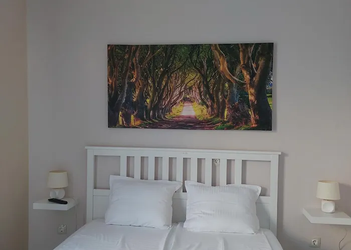 Pensjonat Stella Saparewa Banja